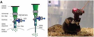 Circuit Investigations With Open-Source Miniaturized Microscopes: Past, Present and Future